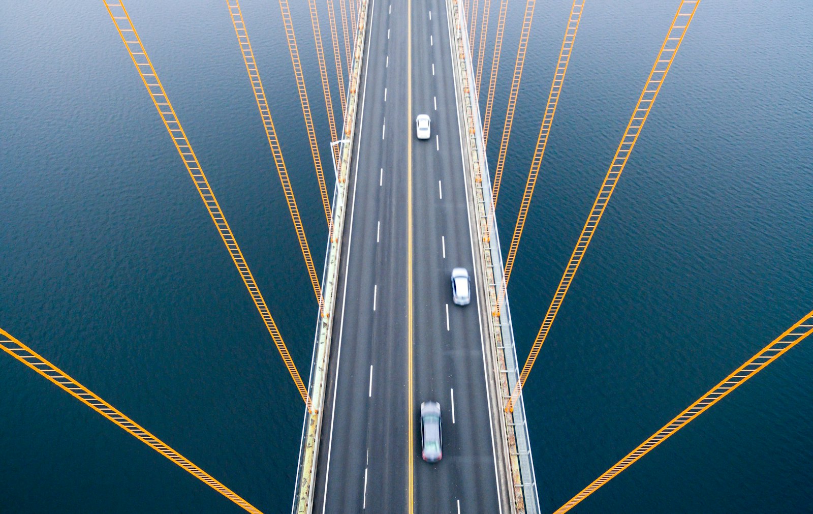 Aerial view hanging bridge