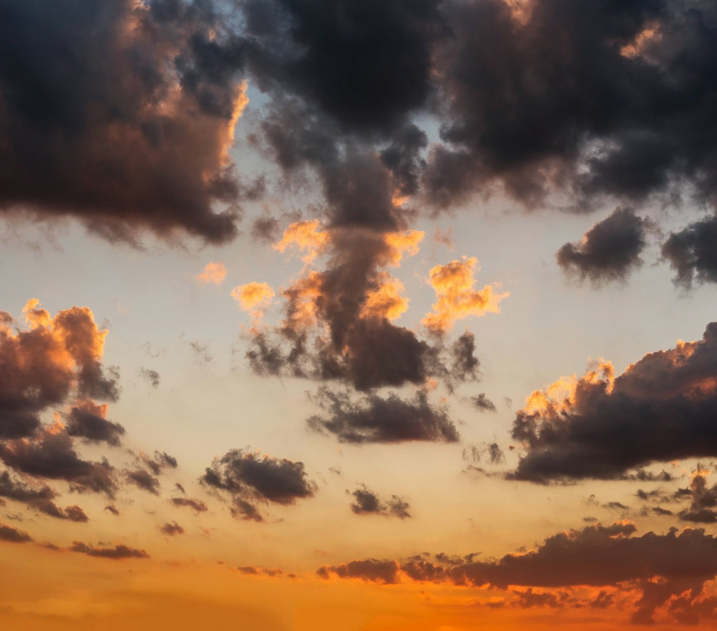 Eberhard grossgasteiger Vd Yo R4v E7s unsplash