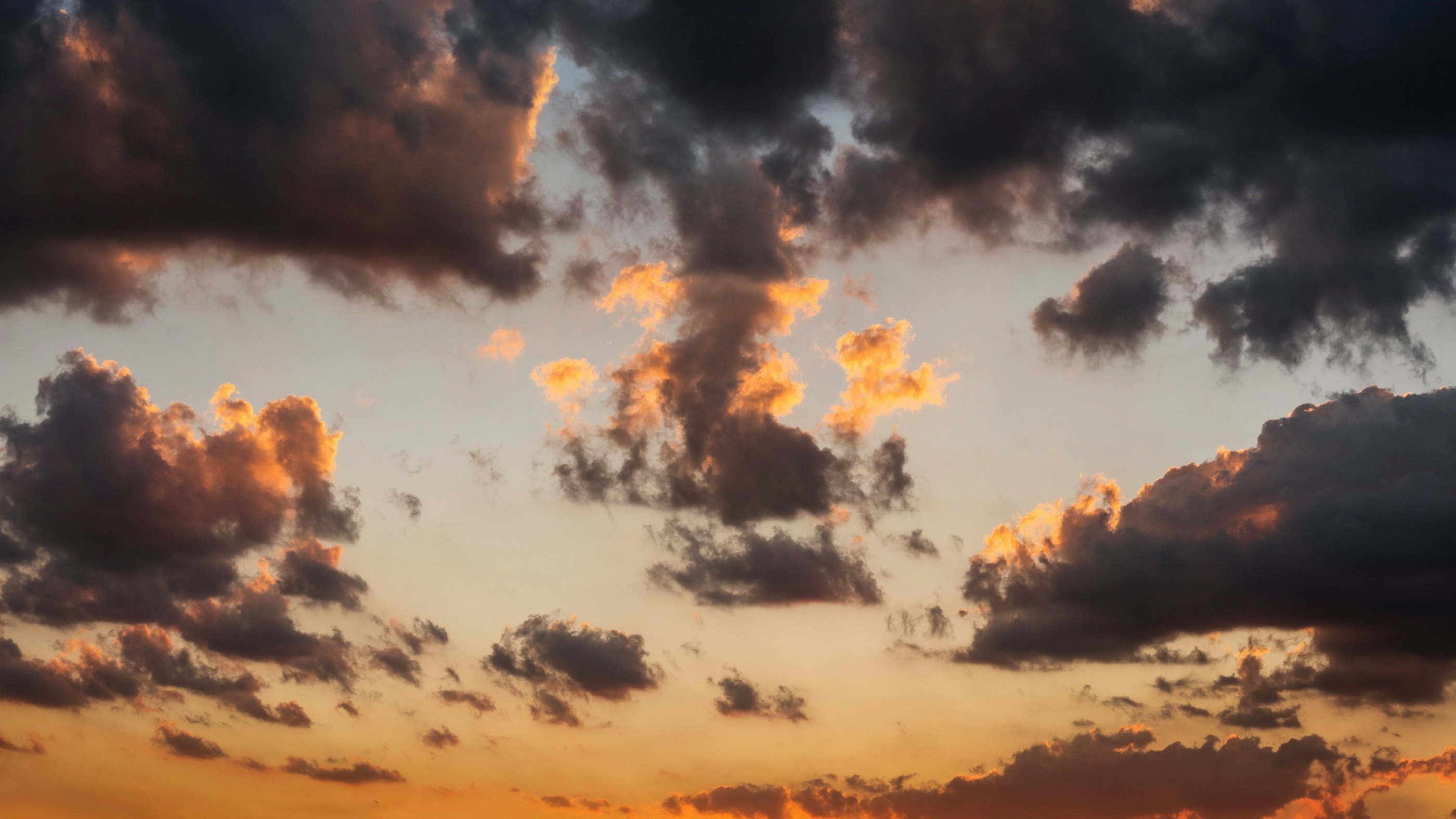 Eberhard grossgasteiger Vd Yo R4v E7s unsplash