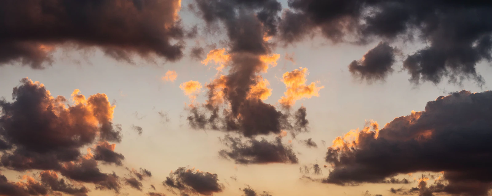 Eberhard grossgasteiger Vd Yo R4v E7s unsplash