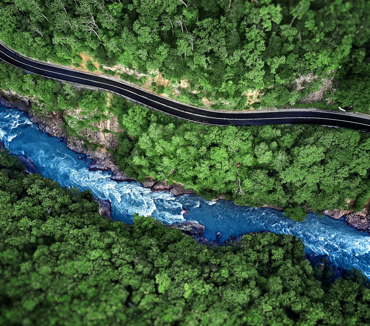 River stream and road forrest