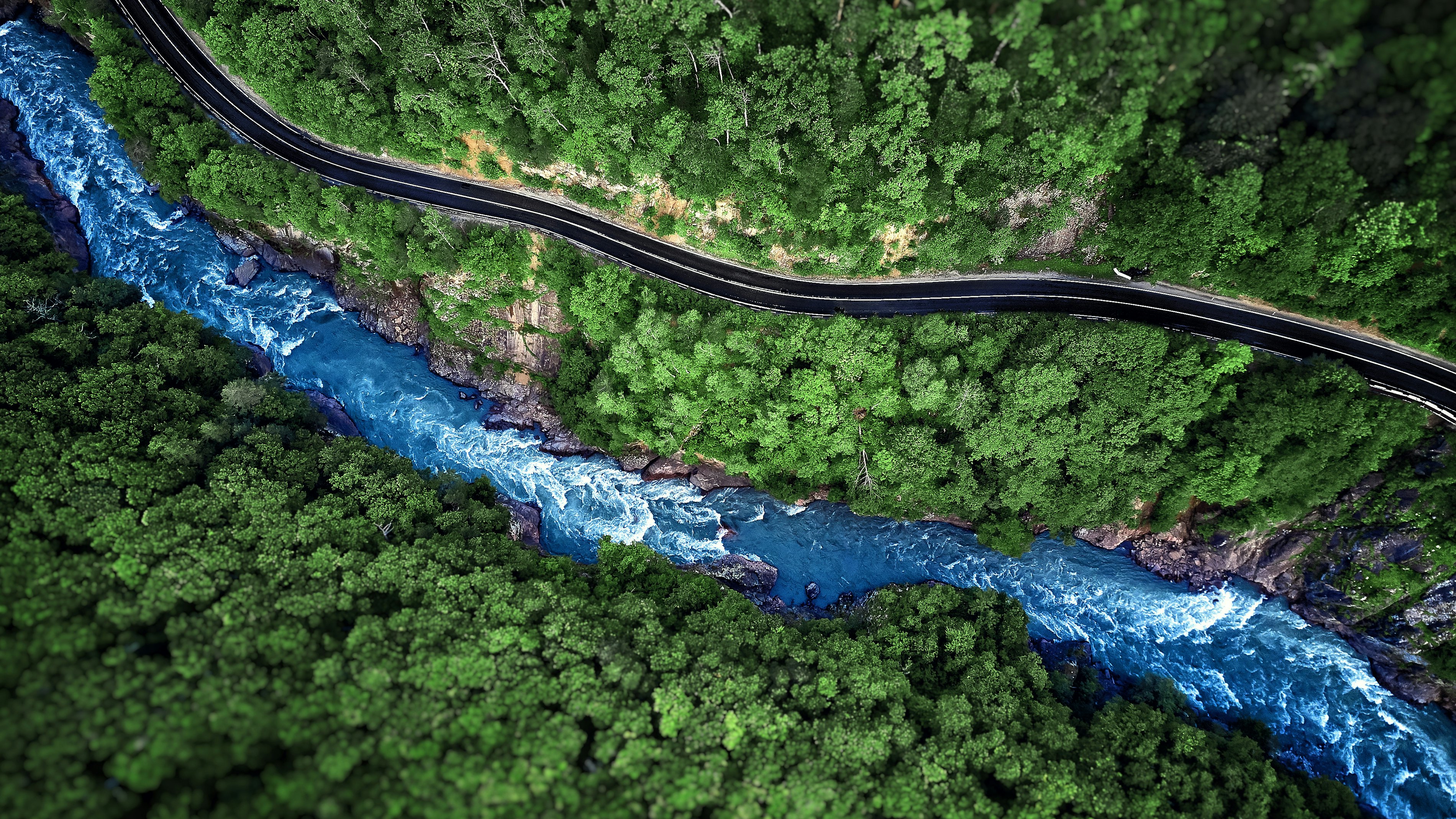 River stream and road forrest