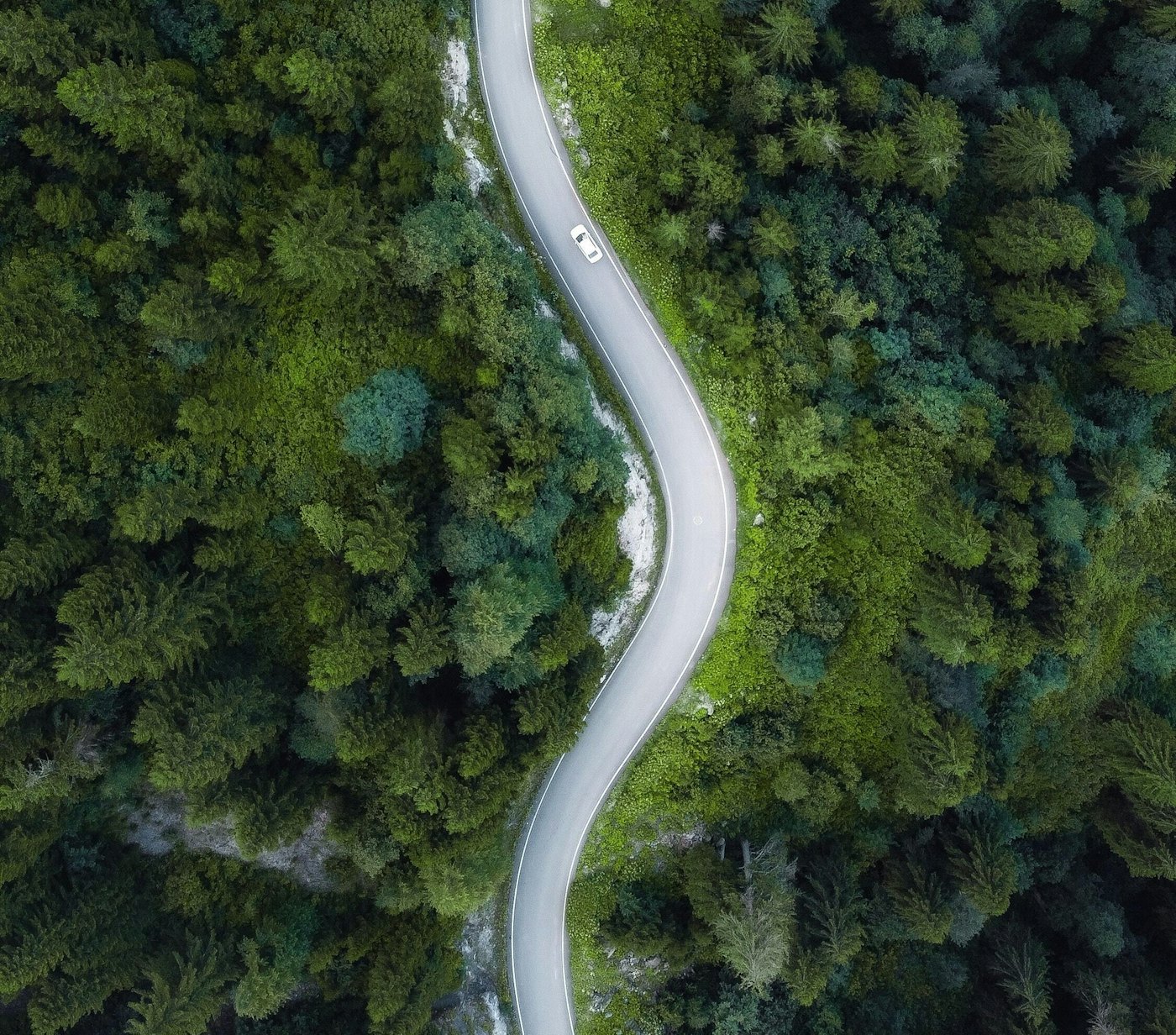 Tansu topuzoglu A Y Zi Tbjj LQ unsplash