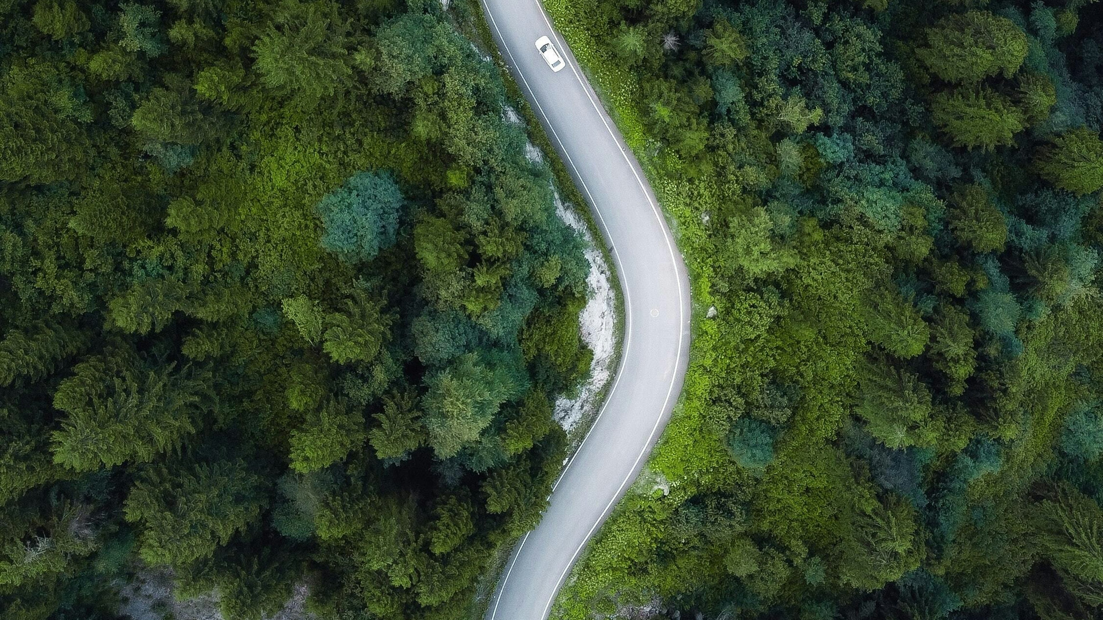 Tansu topuzoglu A Y Zi Tbjj LQ unsplash