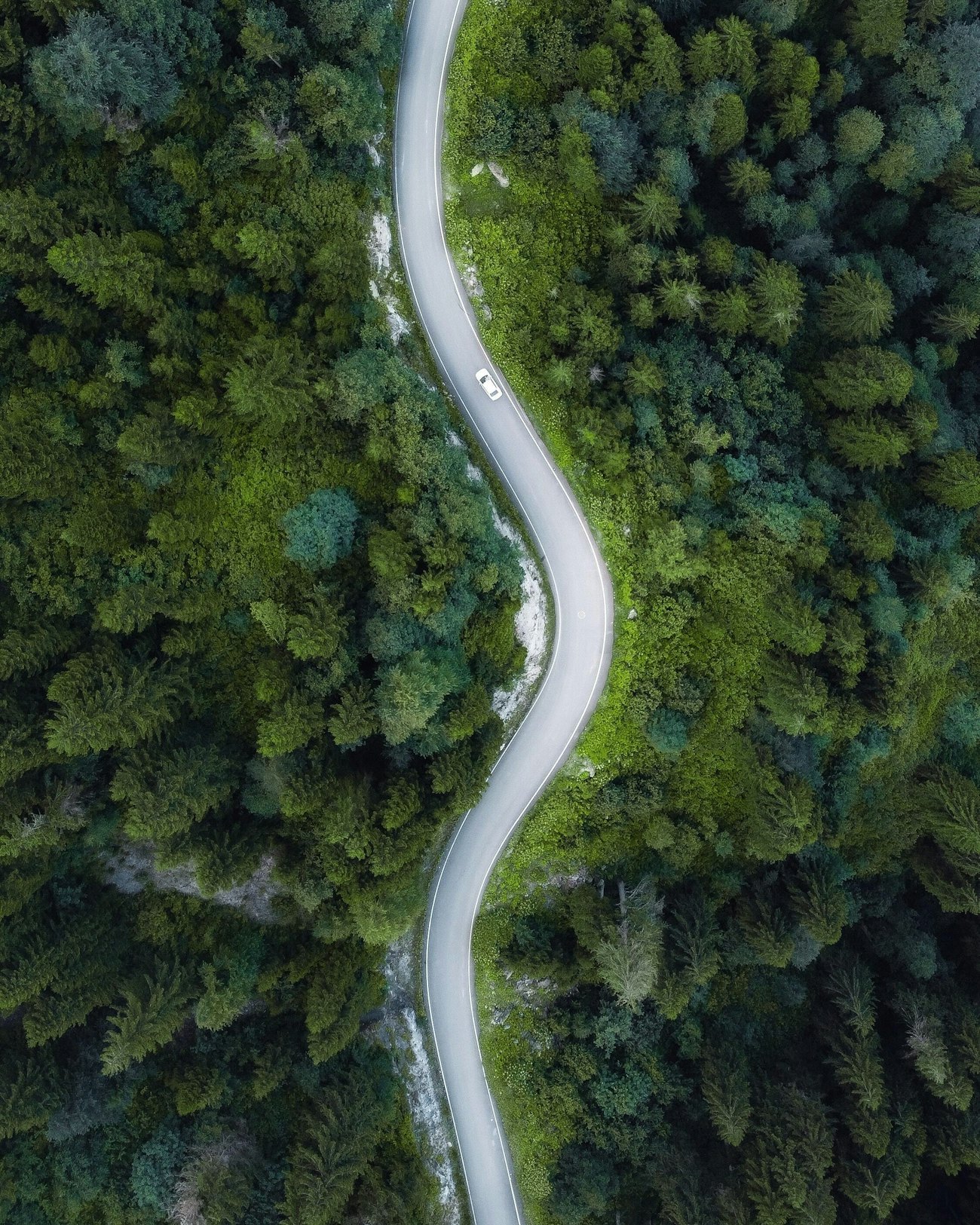 Tansu topuzoglu A Y Zi Tbjj LQ unsplash