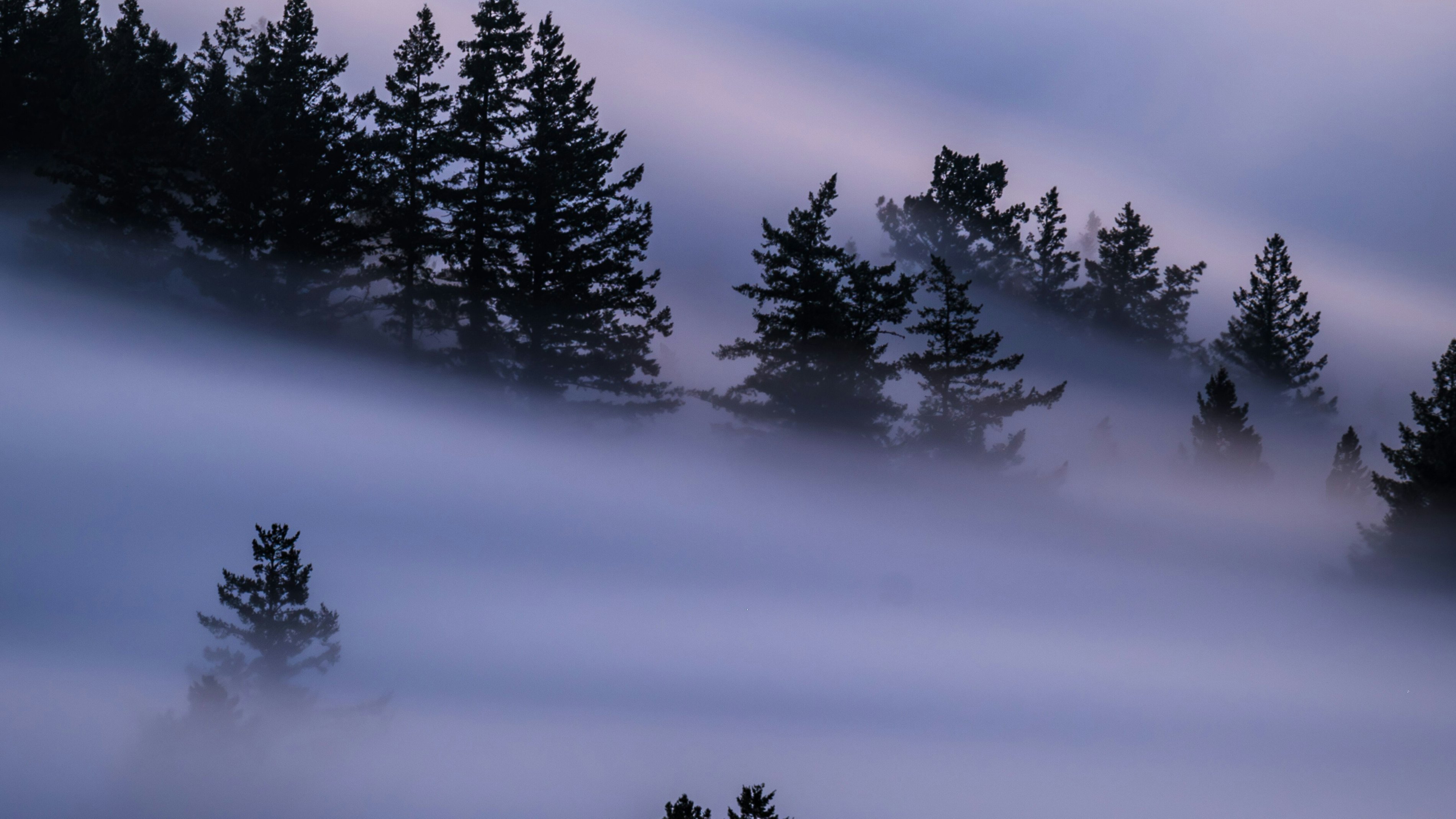 Zetong li Kb6 LX Js Vuxs unsplash