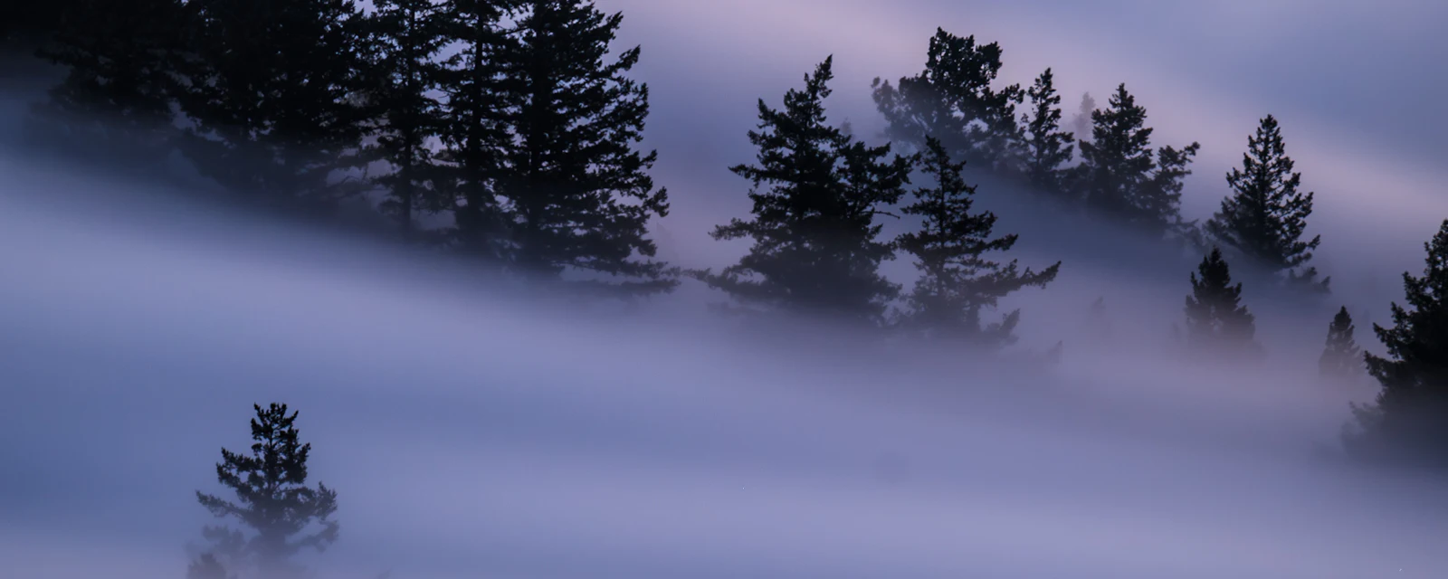 Zetong li Kb6 LX Js Vuxs unsplash