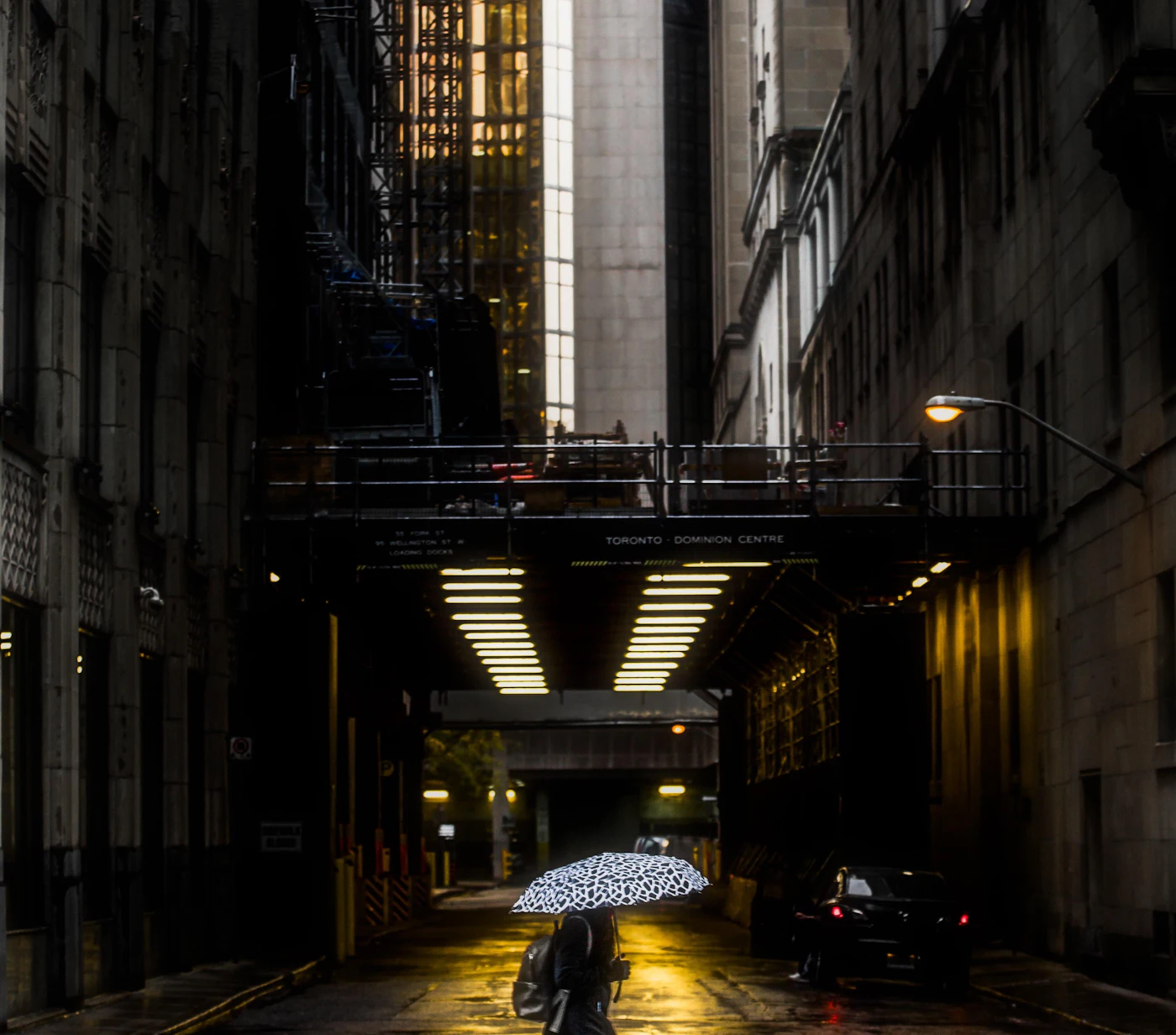 Venrick azcueta Fz Sy0l OF1 Y unsplash