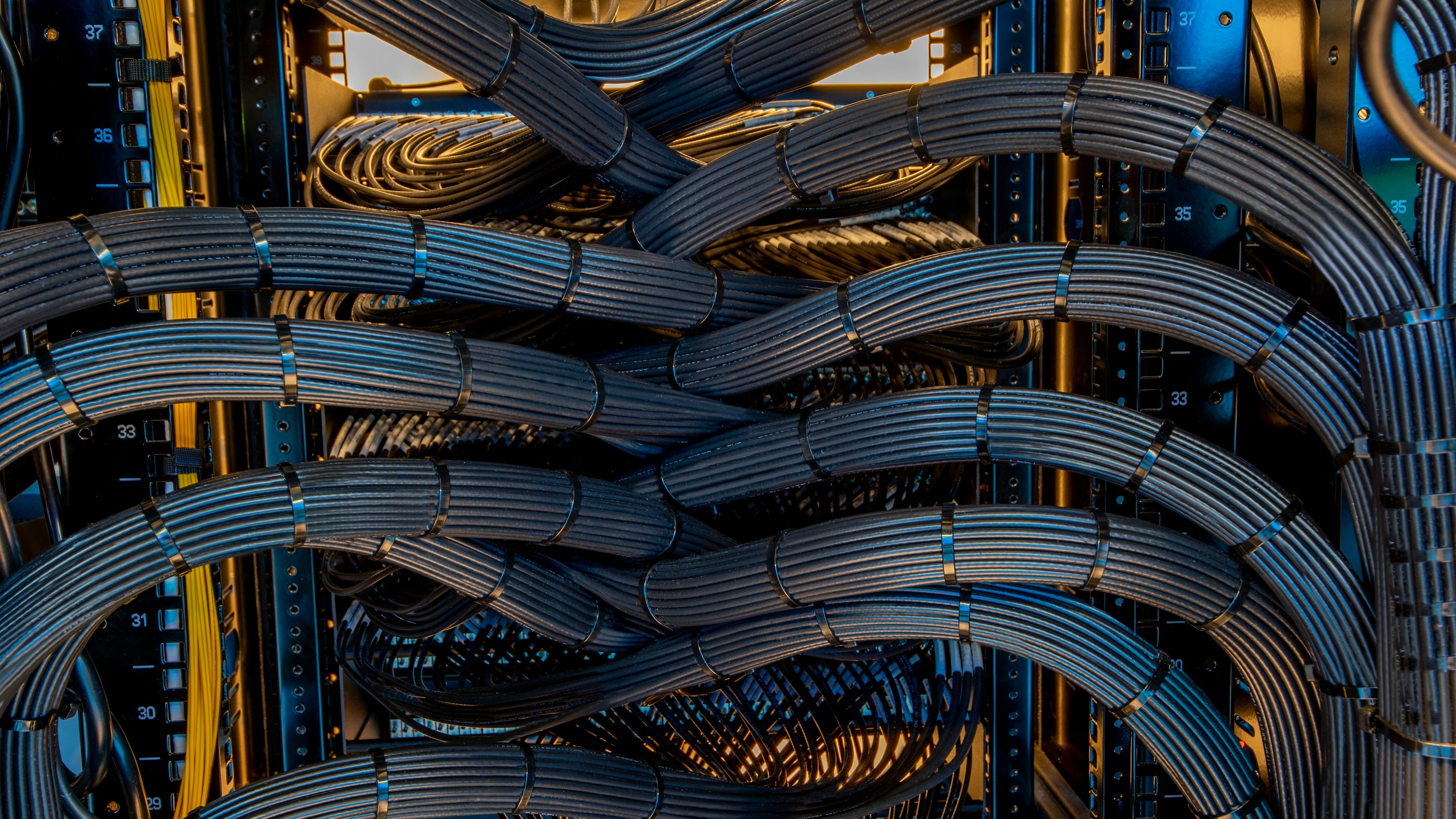 Black network cables