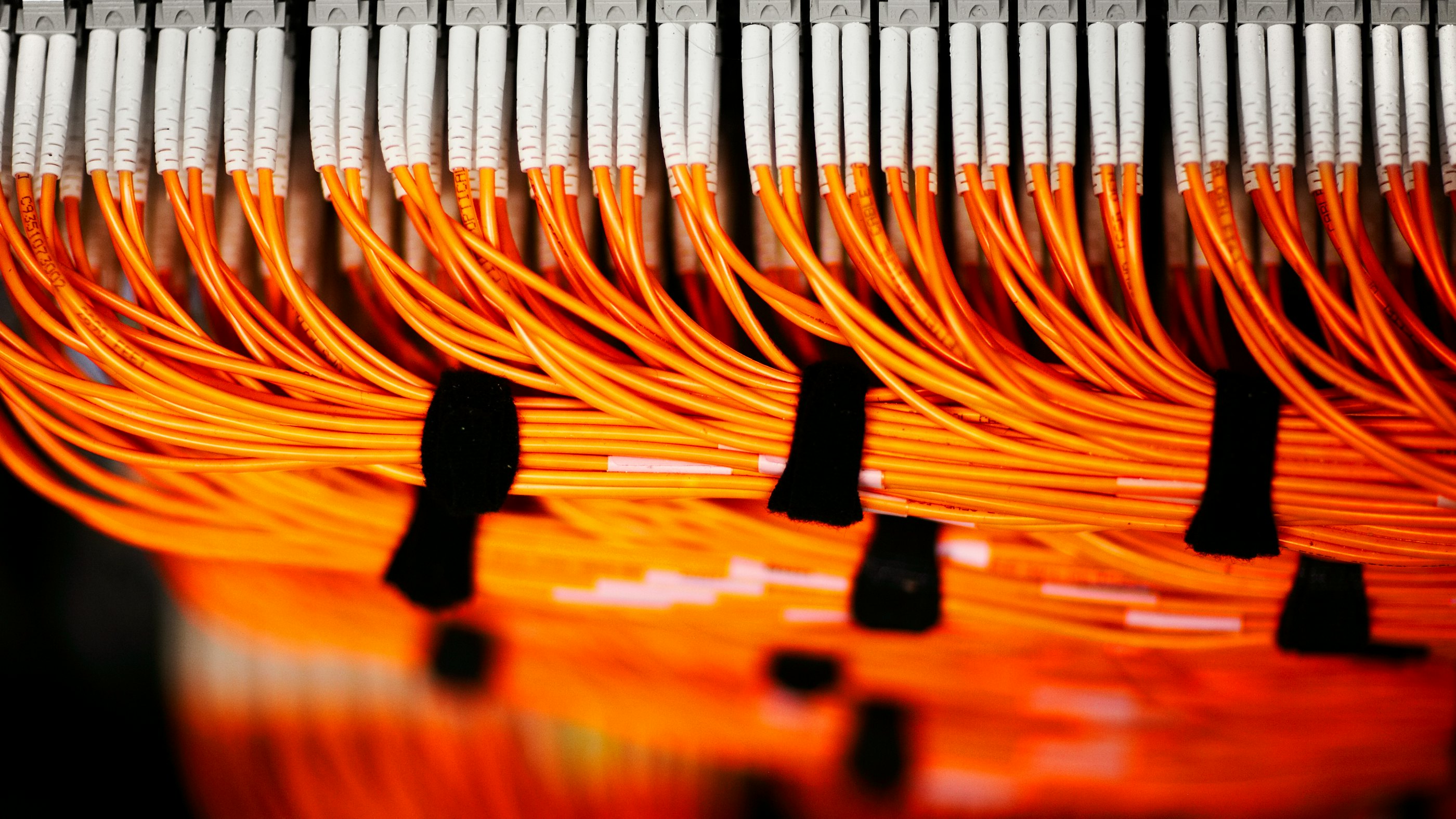 Close up fibre optic cables