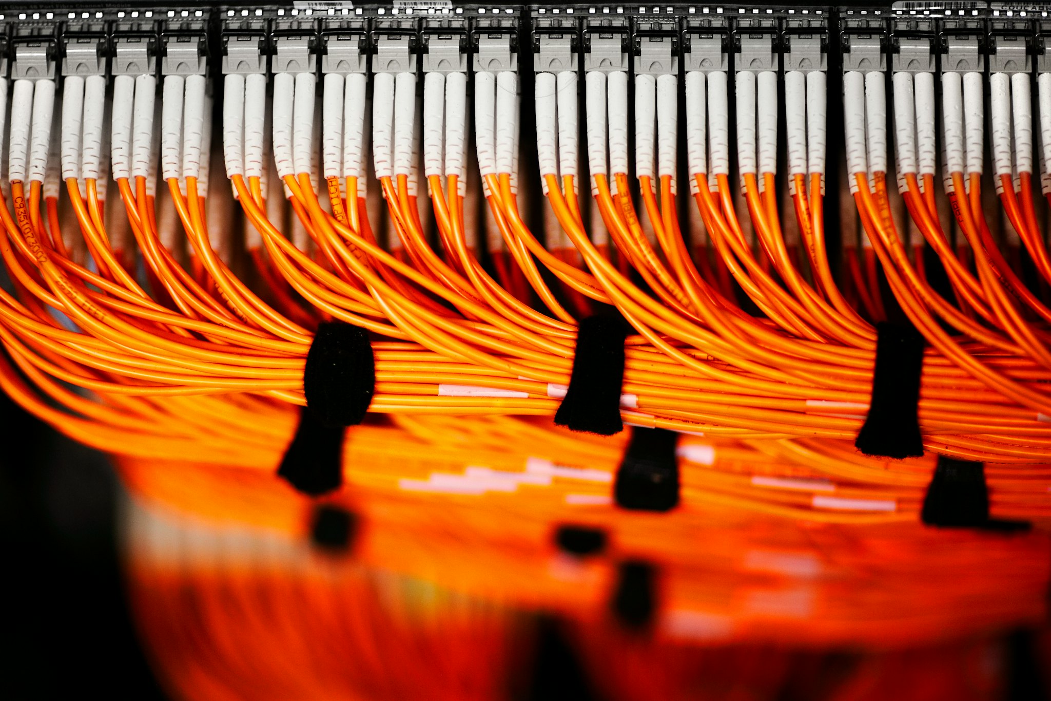 Close up fibre optic cables