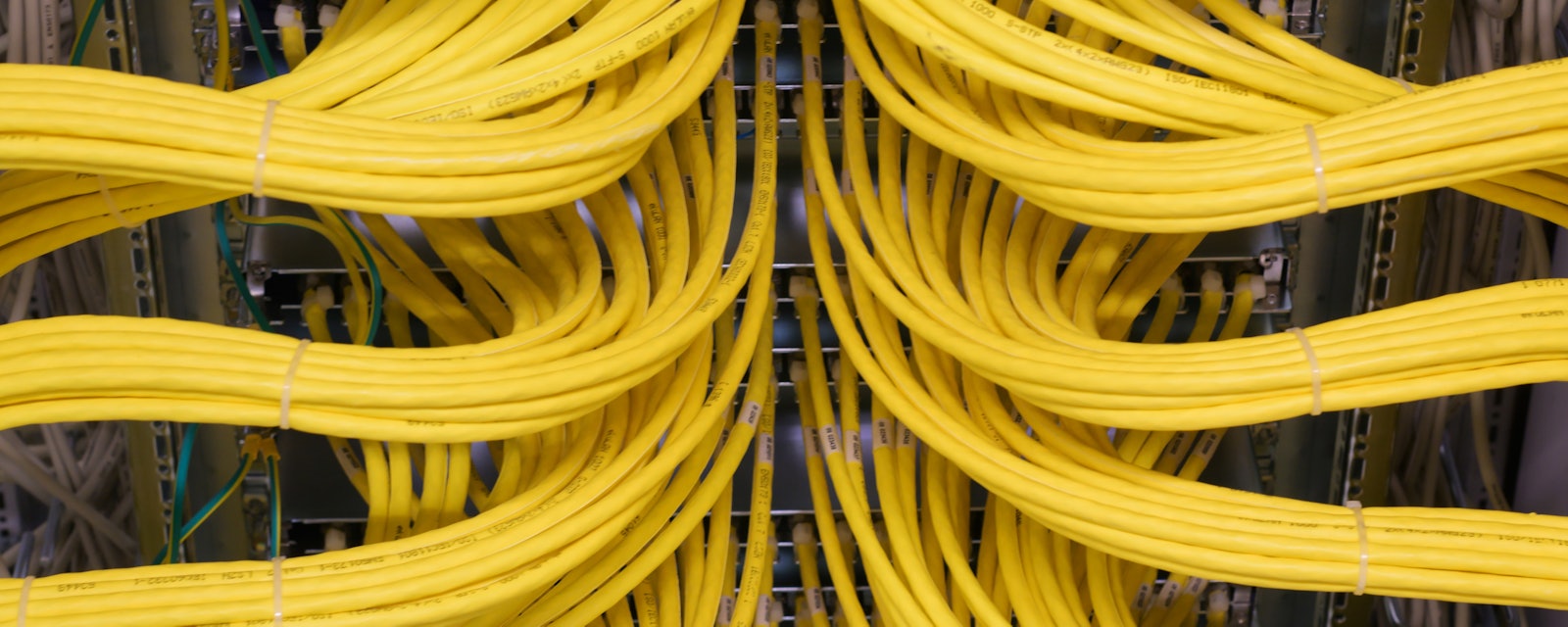 Yellow bundles nework cables