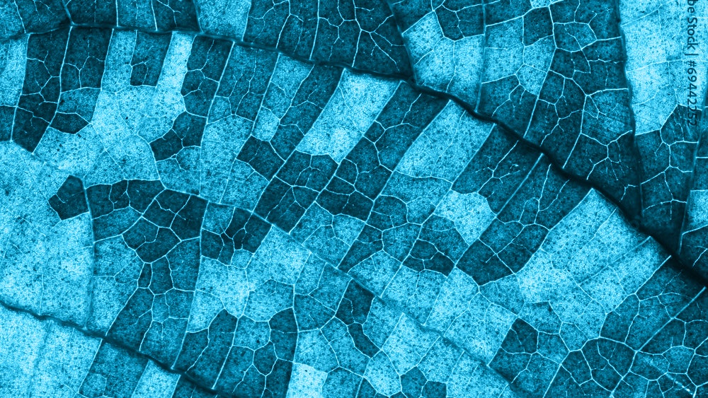 Microsoft Teams image 1