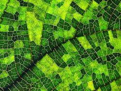 Microsoft Teams image 6 copy 2