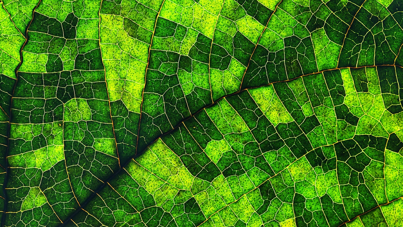 Microsoft Teams image 6 copy 2