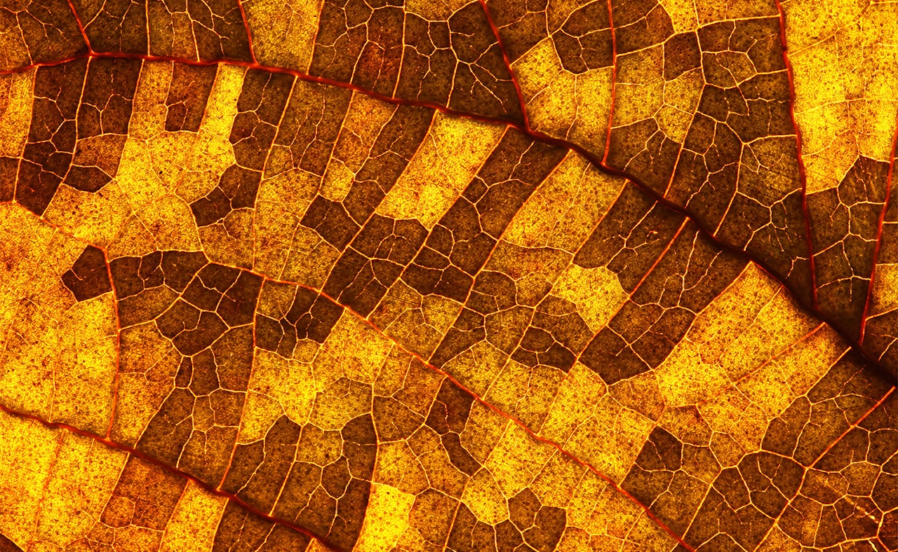 Microsoft Teams image 6 copy