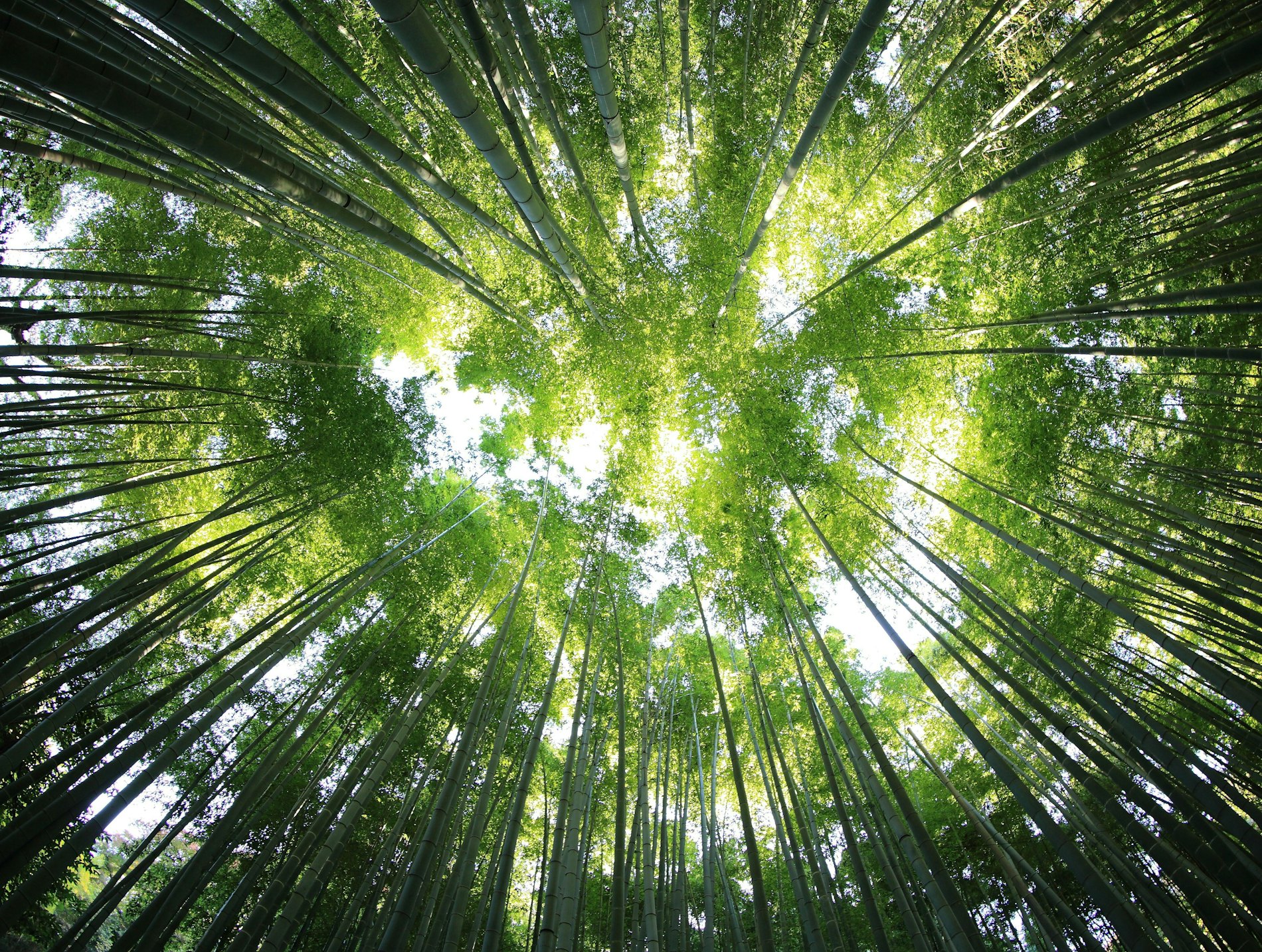 Kazuend 19 SC2oa VZW0 unsplash