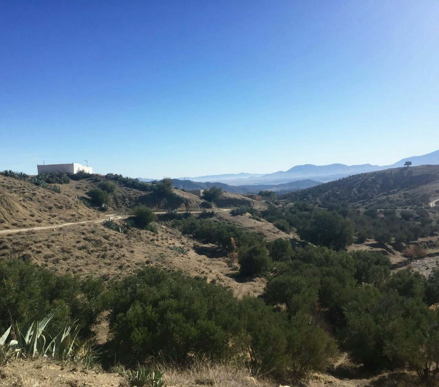 Riforest rif marocco