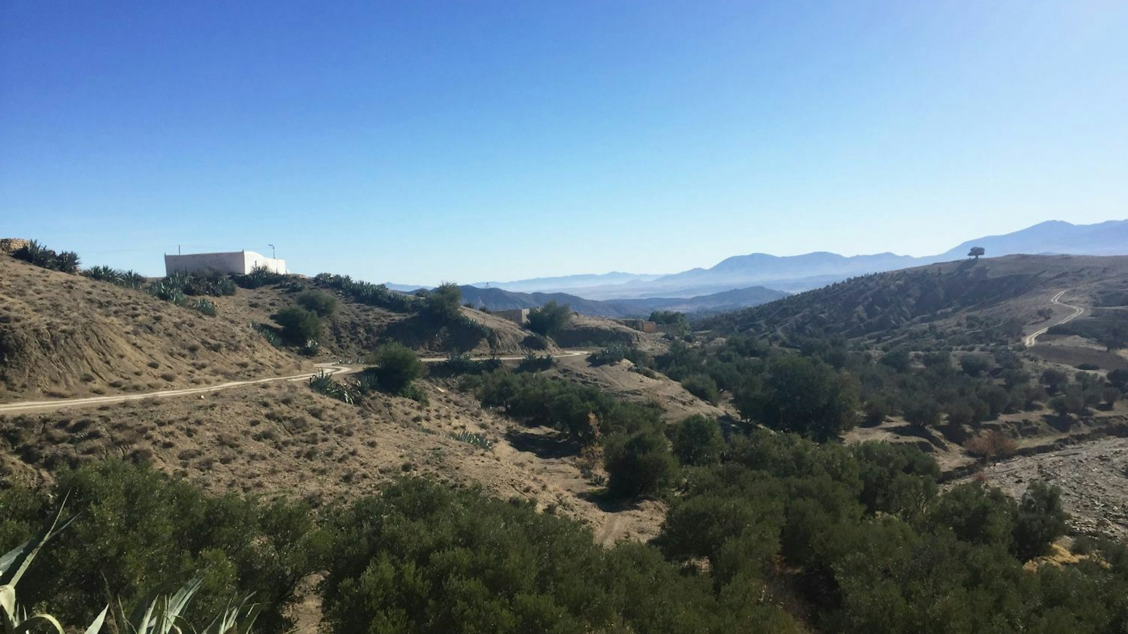 Riforest rif marocco