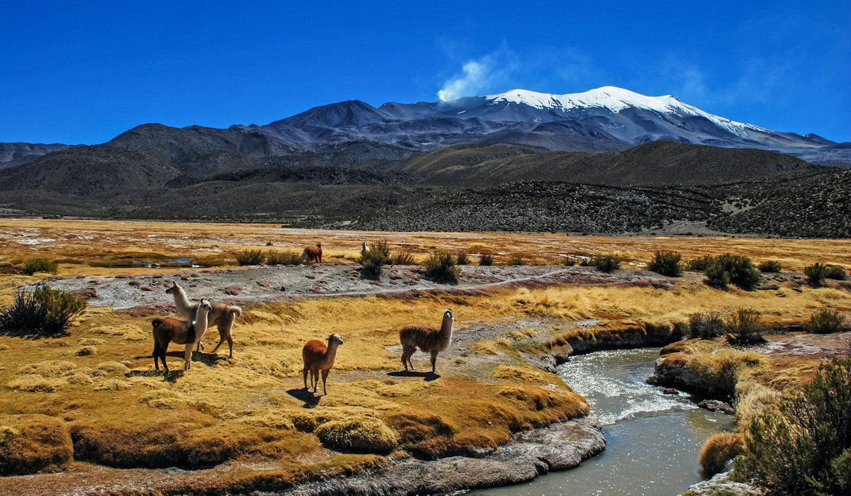 Hugo kruip PBB6 El Hm IQ unsplash