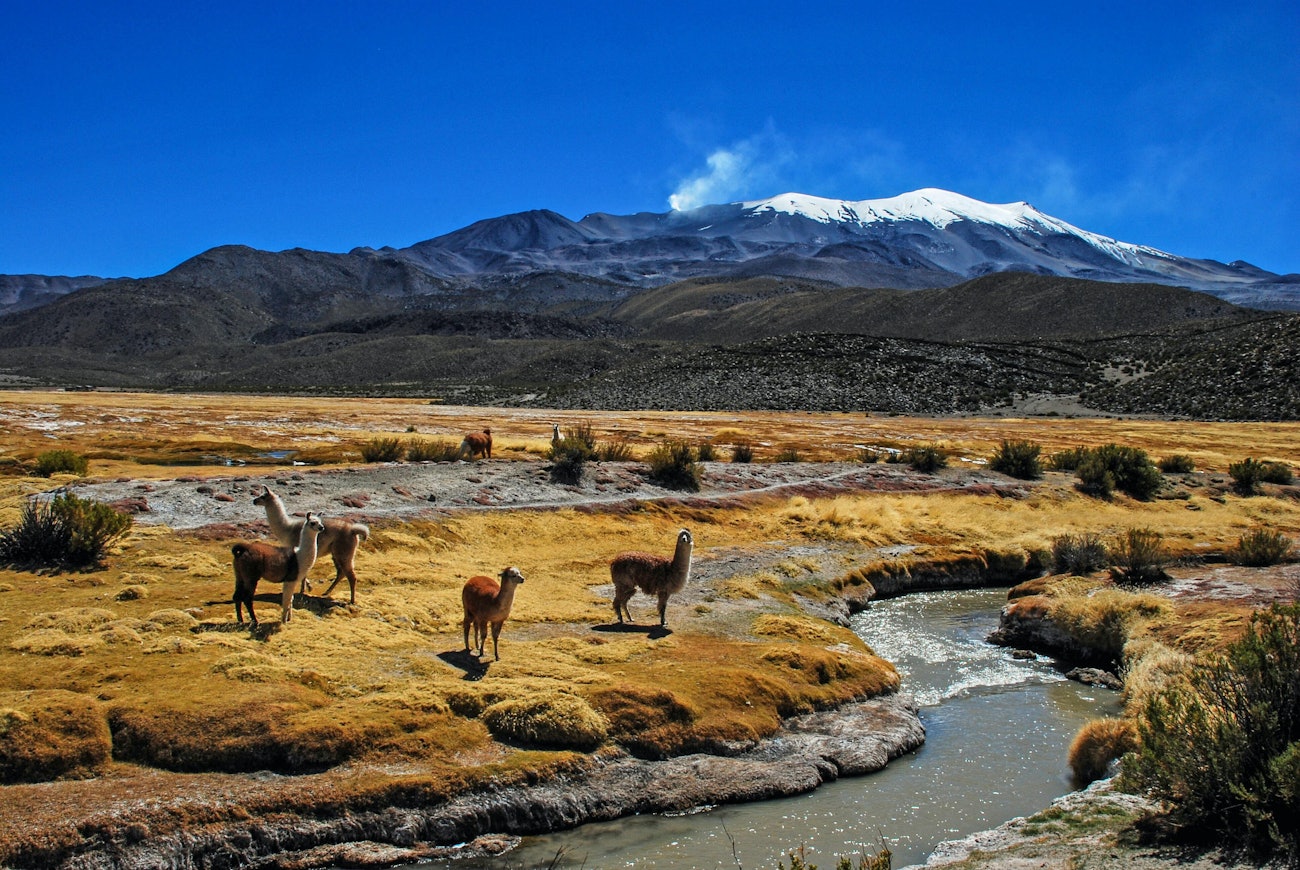 Hugo kruip PBB6 El Hm IQ unsplash