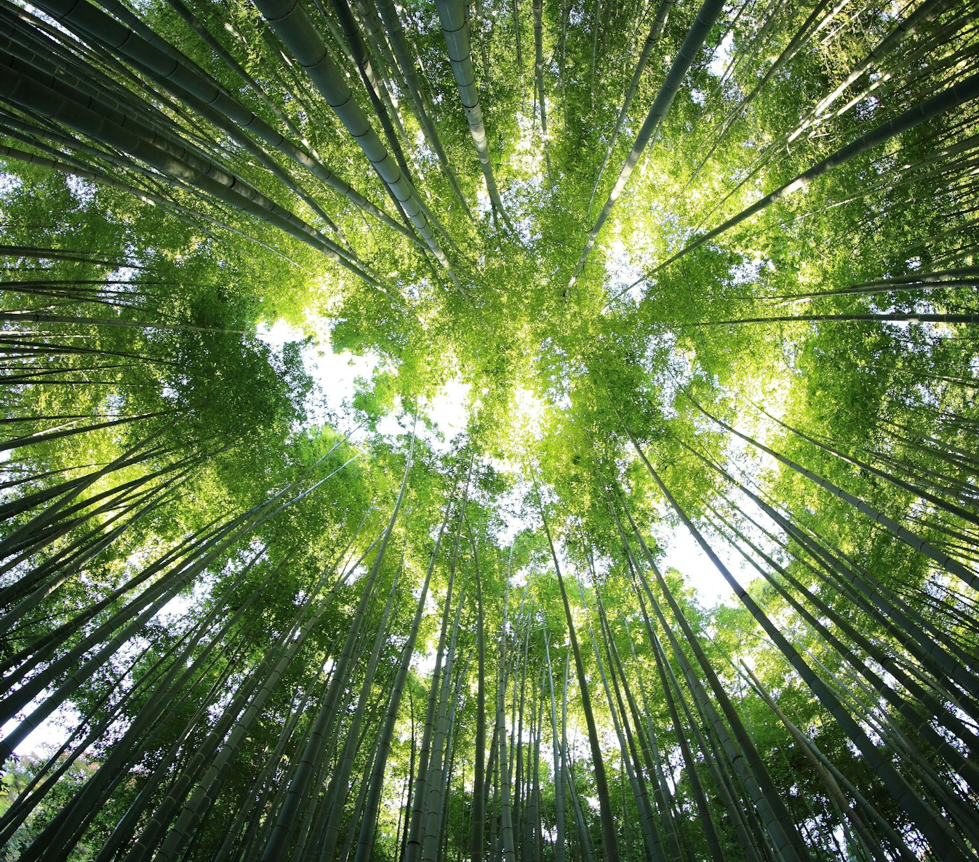 Kazuend 19 SC2oa VZW0 unsplash