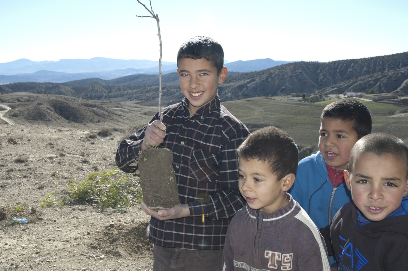 Planting trees riforest
