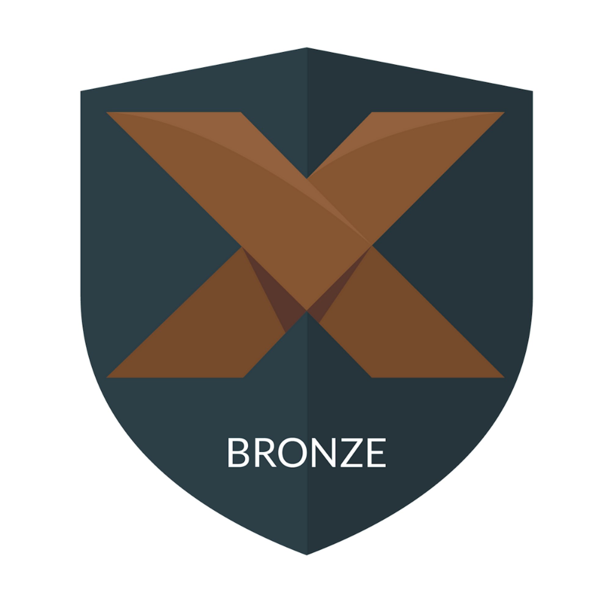 Digitalxraid bronze package
