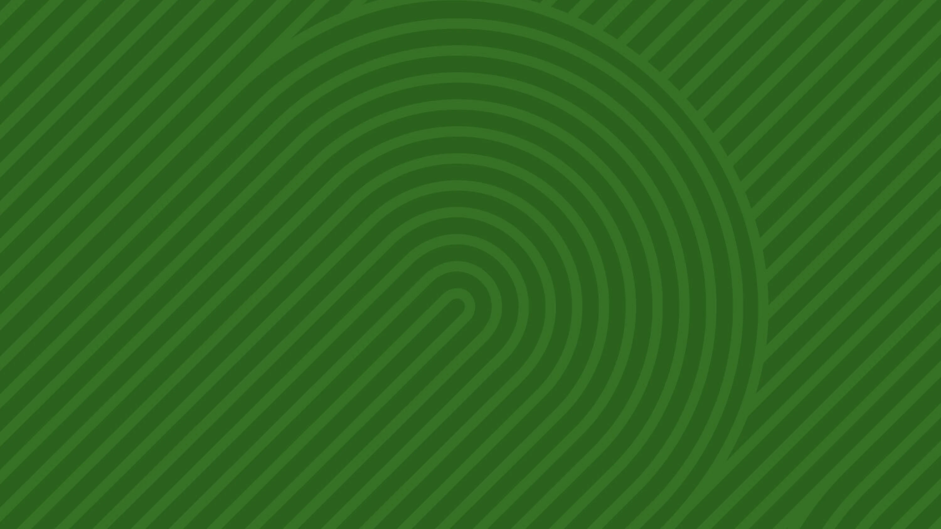 Juniper Networks PTX Routers | Nomios Group