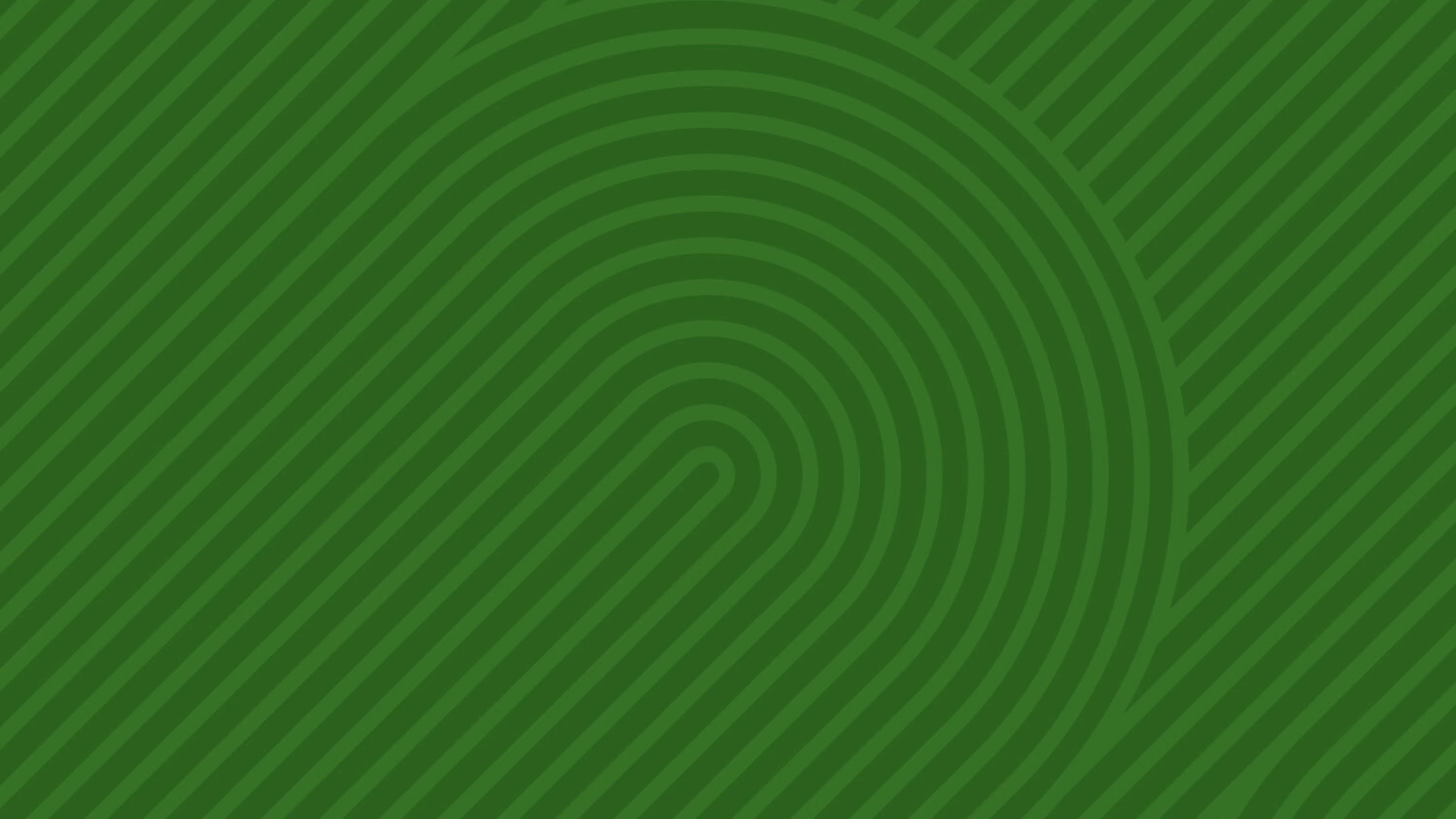 Juniper Networks PTX Routers | Nomios Group