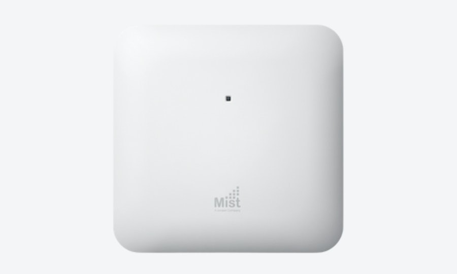 Juniper Mist AP41
