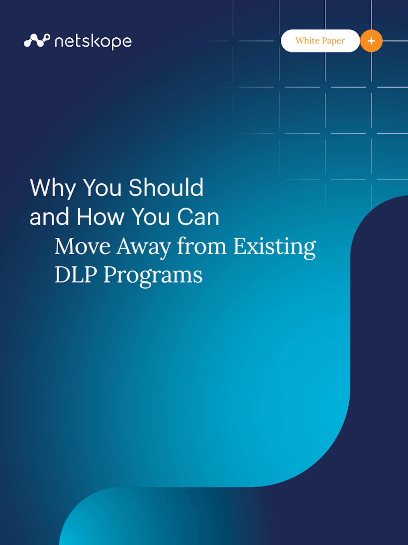 Netskope why you should download