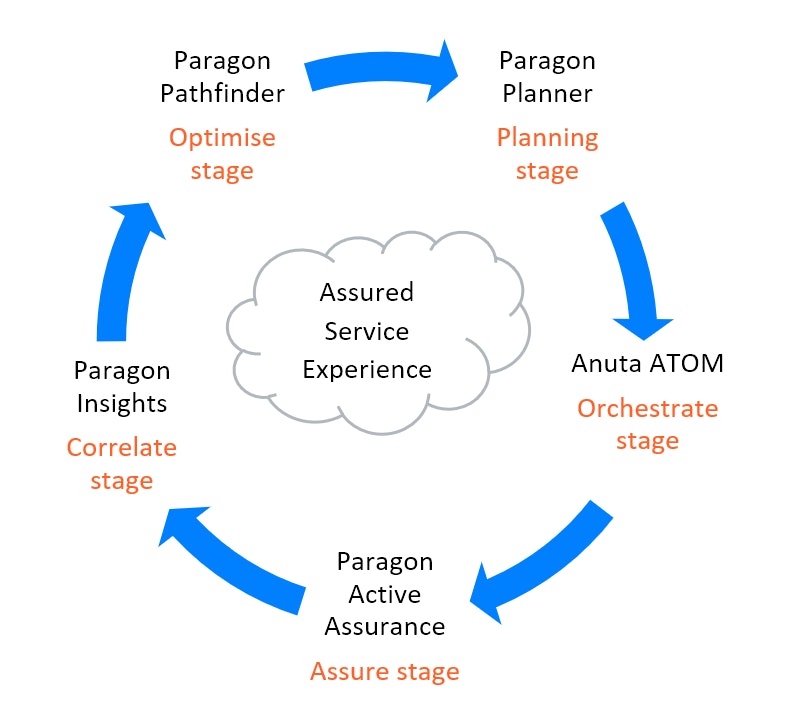 Juniper Paragon process