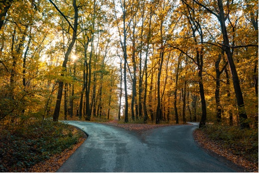 SASE Journey Part Two