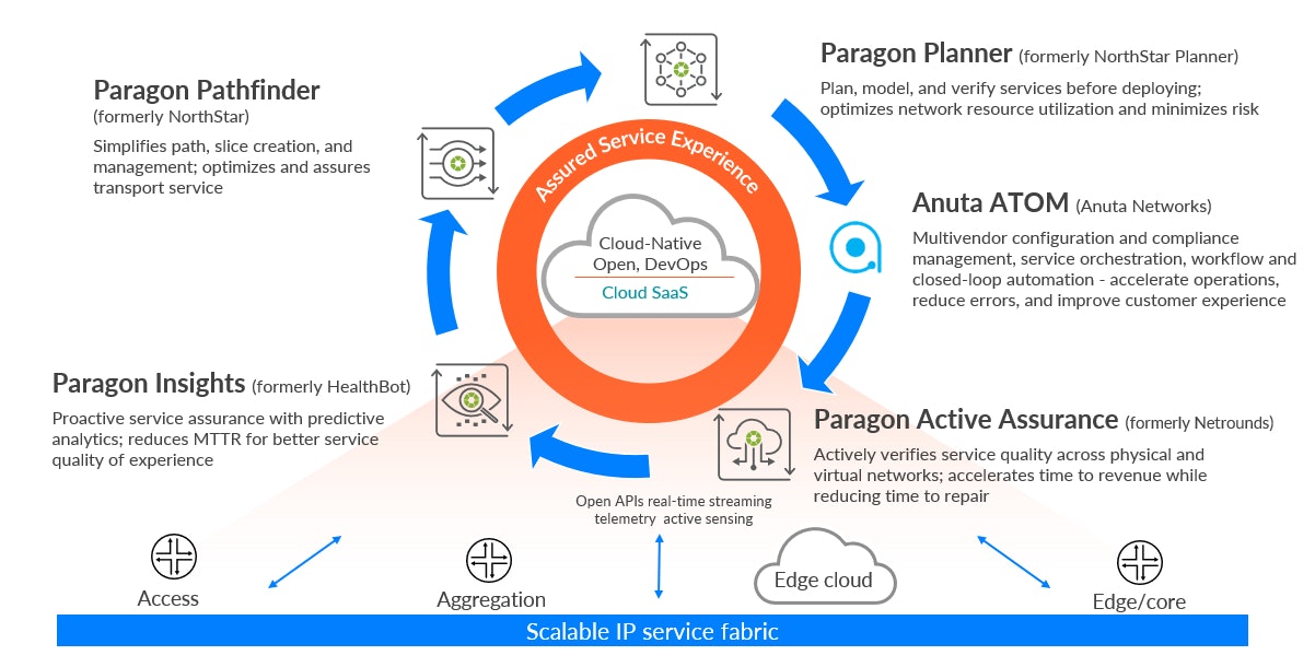 Scalable IP service fabric