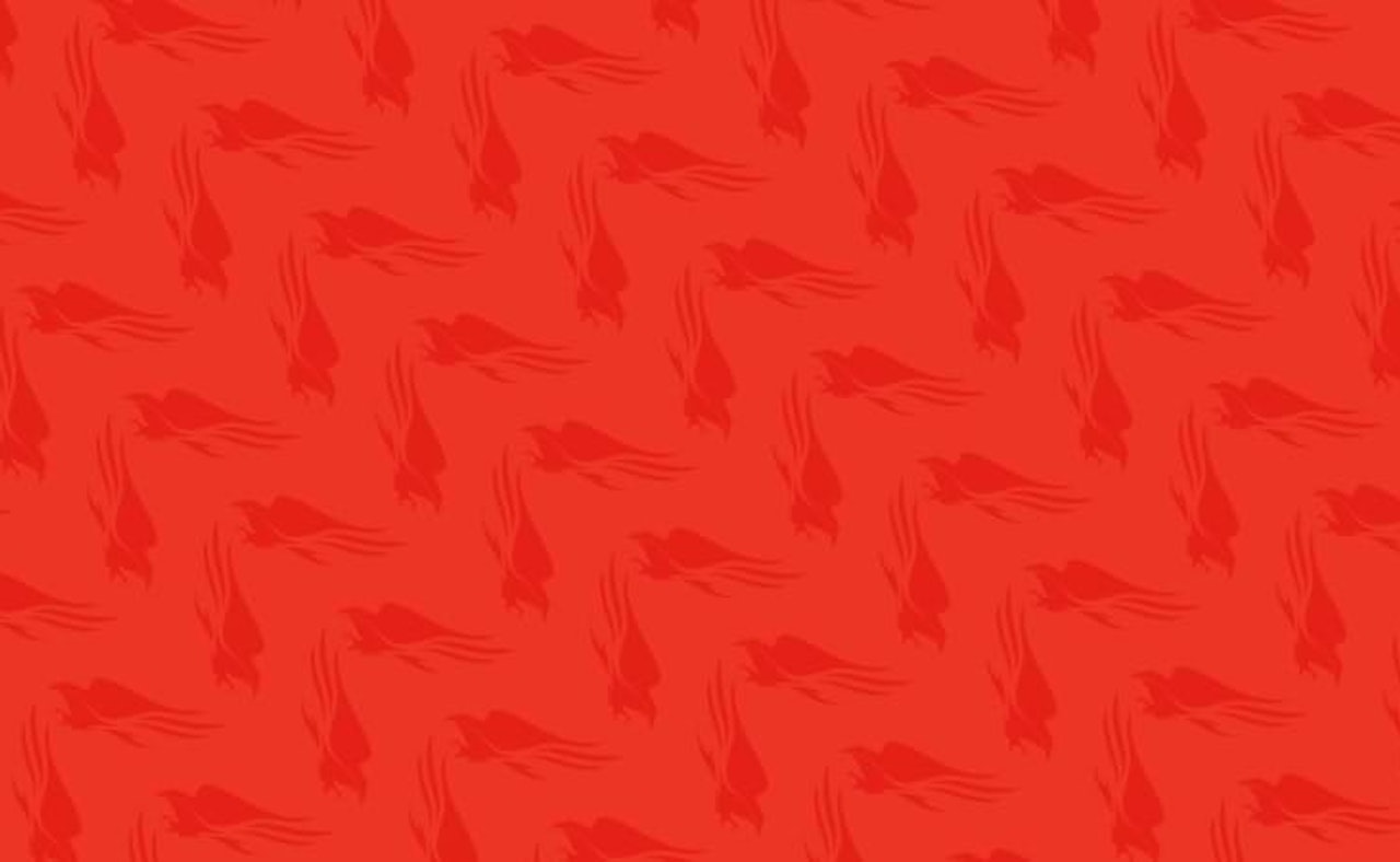 Falcon product new banner bg 01