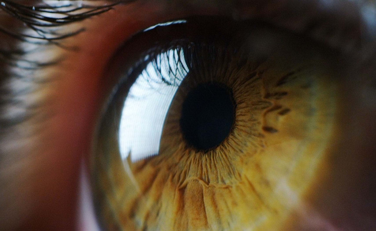 Macro eye