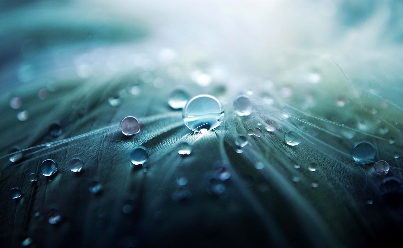 Macro water drops